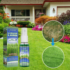 💮2024 SPRING SALE🌱GREEN GRASS & PEST CONTROL LAWN SPRAY