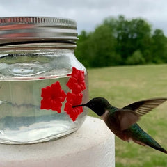 💗Mother's Day Gift -Beautiful Mason Jar Hummingbird Feeder w/Three Ports