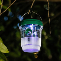 Garden Solar Powered Wasp Trap Bee Trap Flying Insect Trap