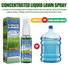 💮2024 SPRING SALE🌱GREEN GRASS & PEST CONTROL LAWN SPRAY