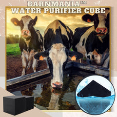 (💥 50% OFF💥- Buy more save more) -- BarnManiaTMWater Purifier Cube