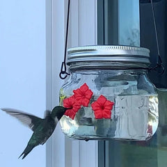 💗Mother's Day Gift -Beautiful Mason Jar Hummingbird Feeder w/Three Ports