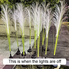 Reed Fiber Optic Light[Outdoor Solar Garden Lights]