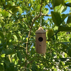 Last Day 49%OFF💕Wooden Hummingbird House-Gift for Nature Lovers