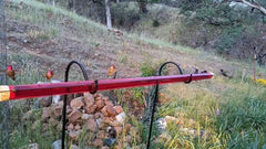 Anna's Best Hummingbird Feeder