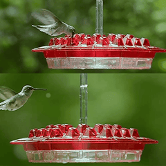 ❤️Mother's Day Sale 45% OFF🐦Hummingbird Feeders for Outdoors Hanging